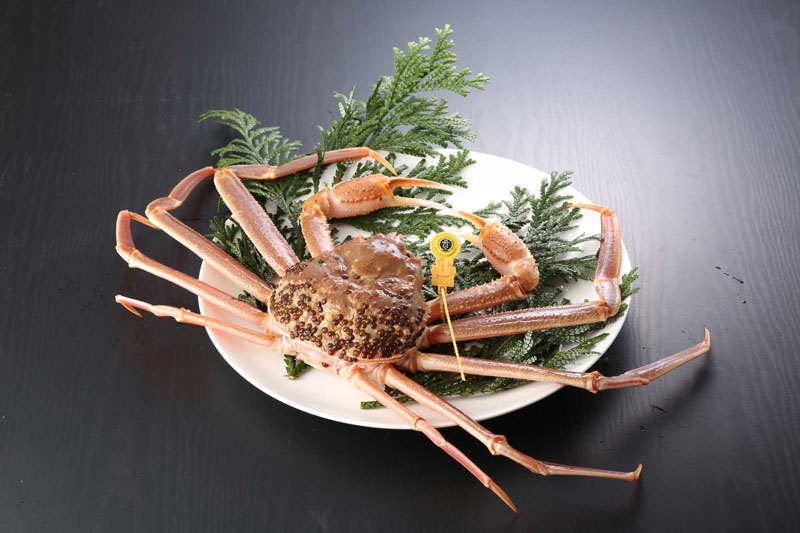 越前がに(活き 単品) 中 700g~800g