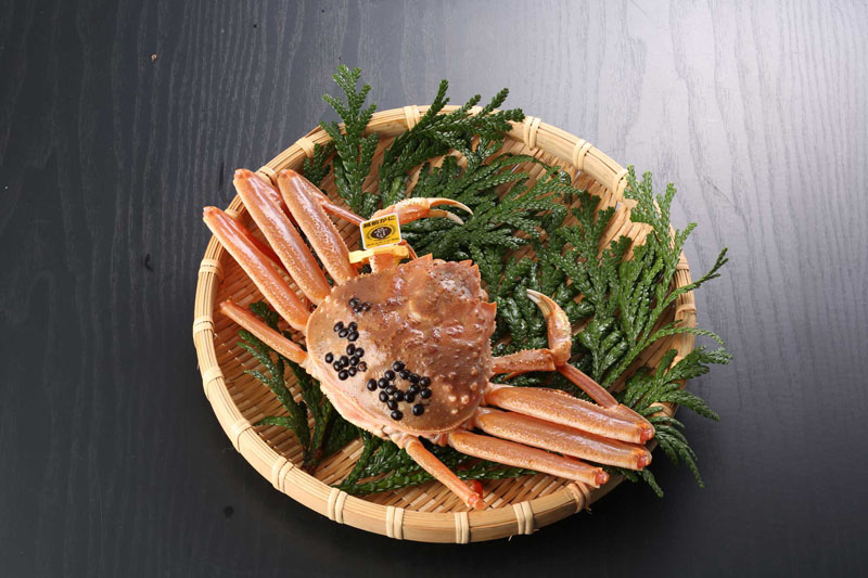 せいこがに(活き 単品) 大