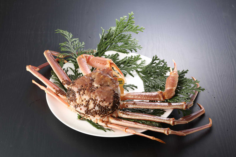 わけあり越前がに(活き 単品) 大 900g~1.0kg