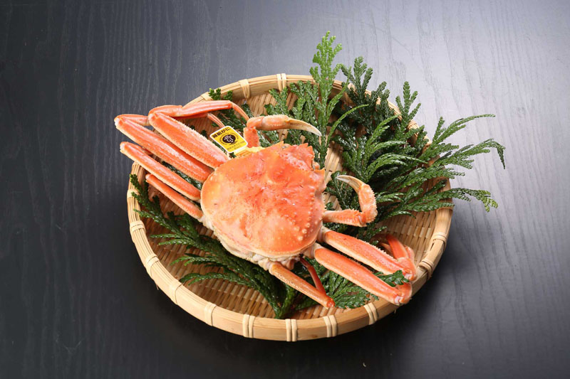 わけありせいこがに(ゆで 単品) 中