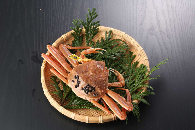 わけありせいこがに(活き 単品) 中上