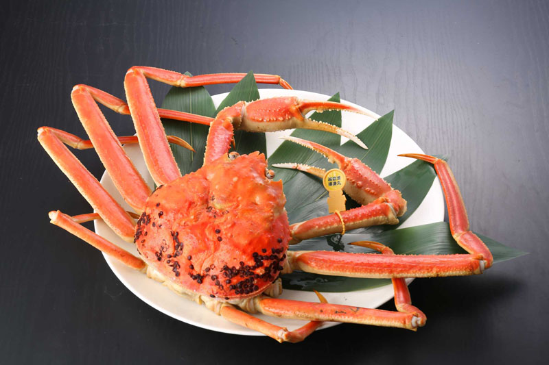 わけあり越前がに(ゆで 単品) 特大 1.1kg~1.2kg