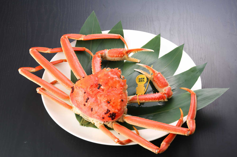 わけあり越前がに(ゆで 単品) 中 700g~800g