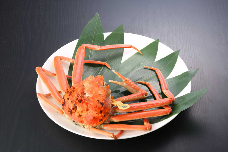 わけあり越前がに(ゆで 単品) 小 500g~600g