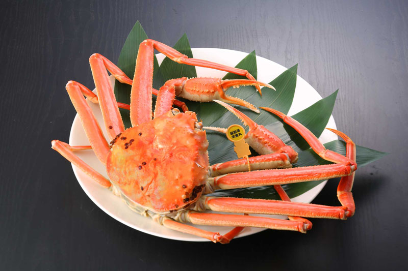 越前がに(ゆで 単品) 特大 1.1kg~1.2kg