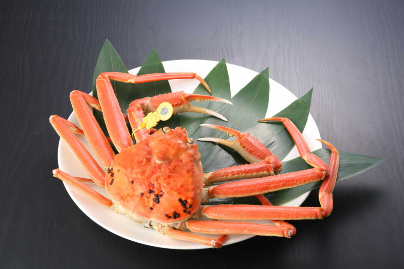 越前がに(ゆで 単品) 中 800g~900g