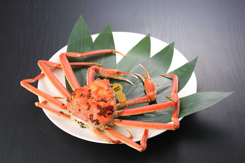 越前がに(ゆで 単品) 小 600g~700g