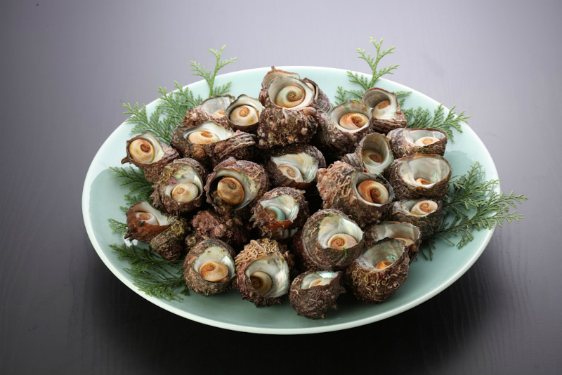 大 さざえセット