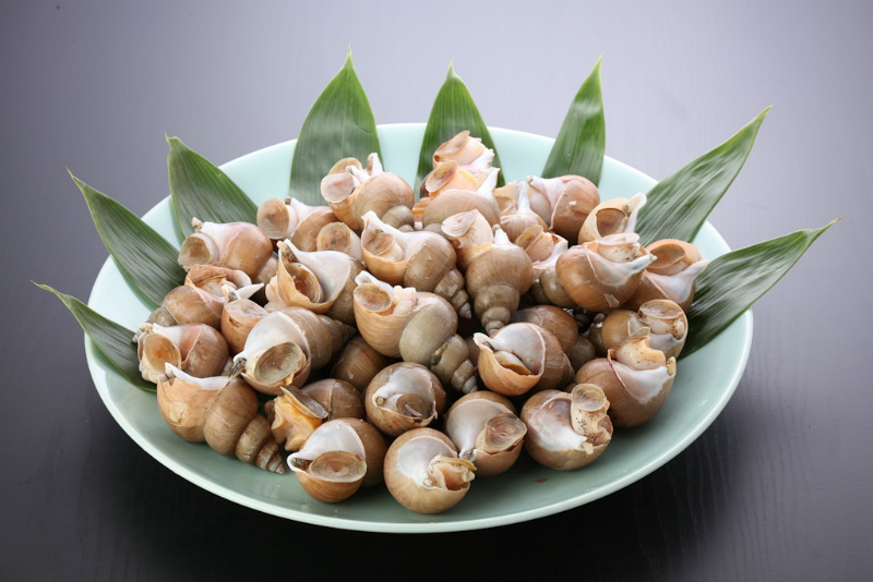 大 バイ貝セット