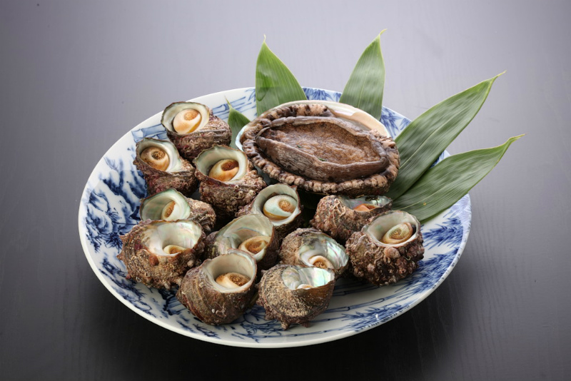 中 あわびさざえセット