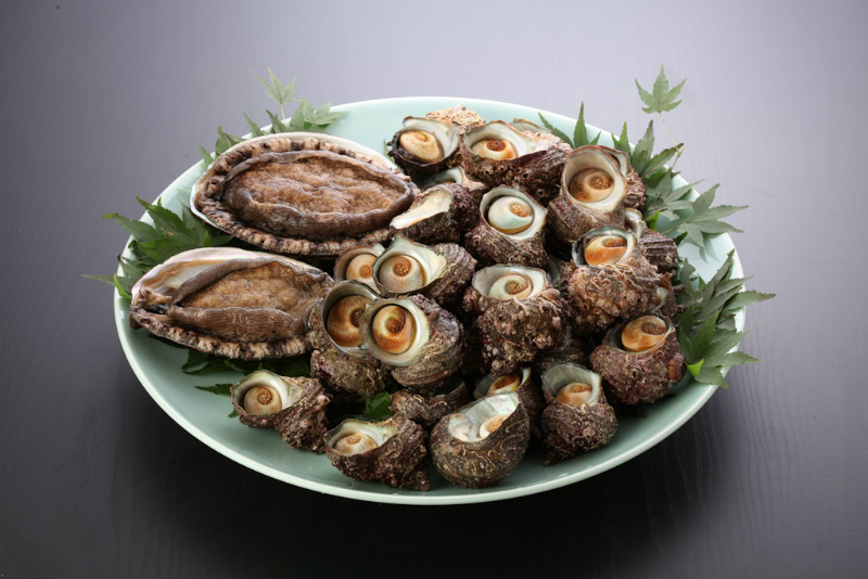 大 あわびさざえセット