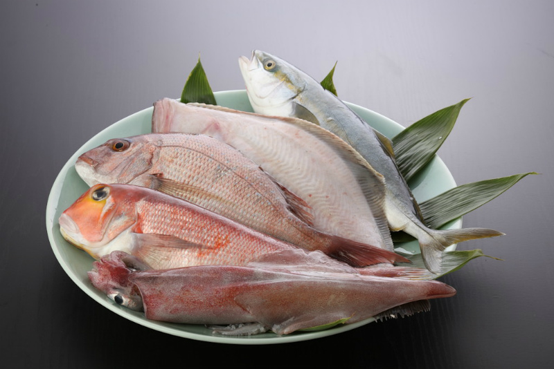 活魚セット 中 福井県の活魚セット