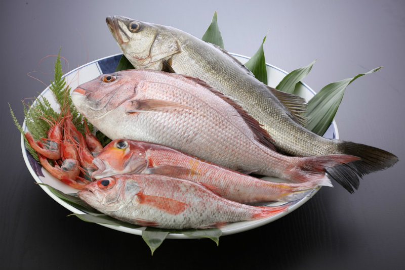 活魚セット 大 福井県の活魚セット