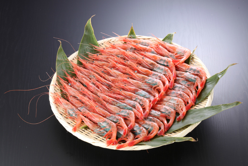 活魚セット 甘えび 50匹セット