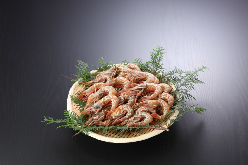 活魚セット ガサえび 30匹セット