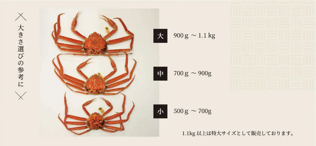 大きさ選びの参考に